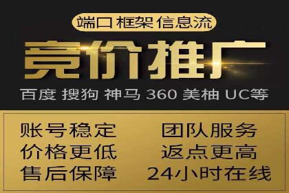 成功SEM服务案例分析报告